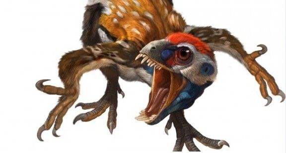 第一种能分泌毒液的恐龙——中国鸟龙