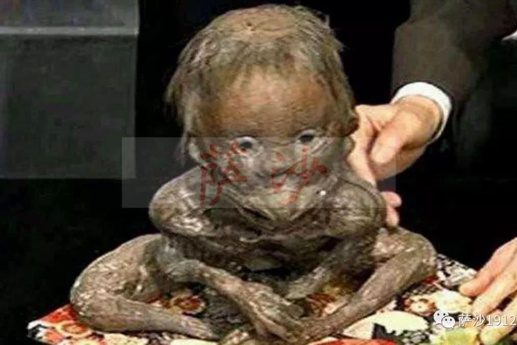 邪灵河童会吃游泳者的内脏中国和日本都有这种怪物