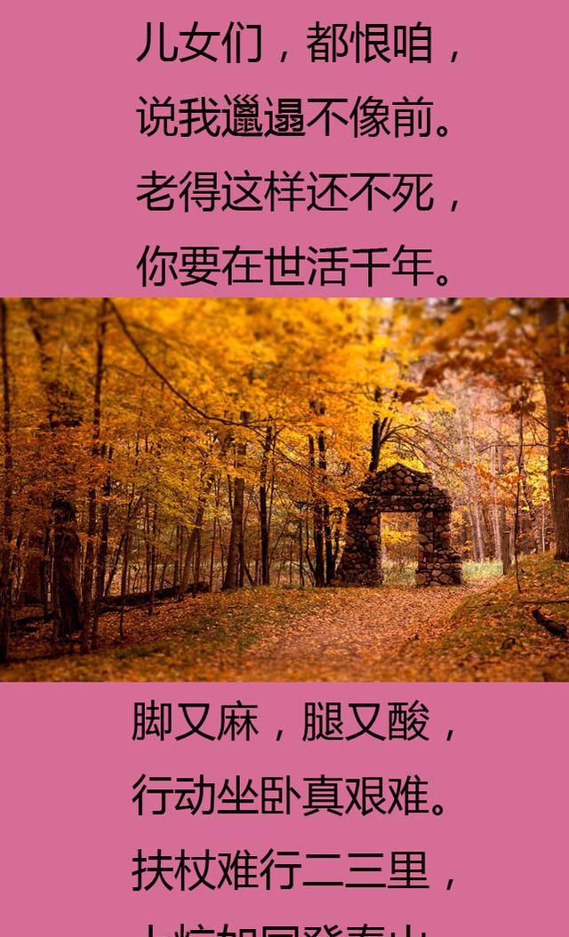 老来难老来难老了到底有多难看完的都哭了