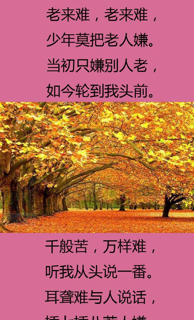 老来难,老来难,老了到底有多难?看完的都哭了