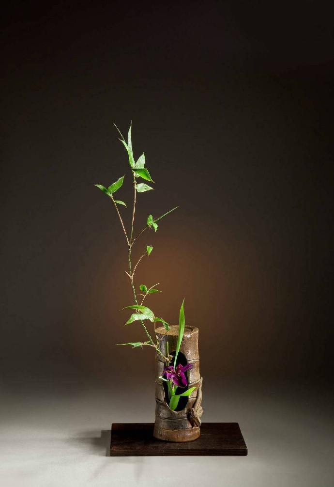 枯木逢春,喜上眉梢|禅意|花意|插花_新浪新闻