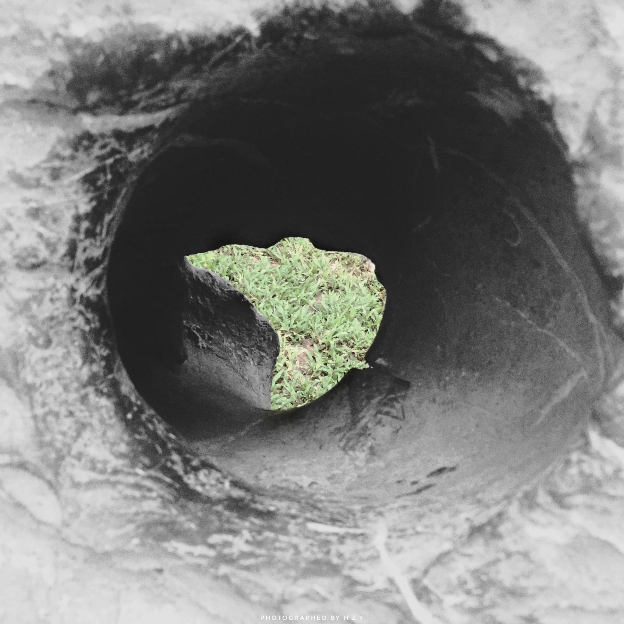 在枯燥无味的生活中寻求一点乐趣