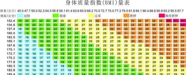 微胖才是最好的身材让减肥都见鬼去吧