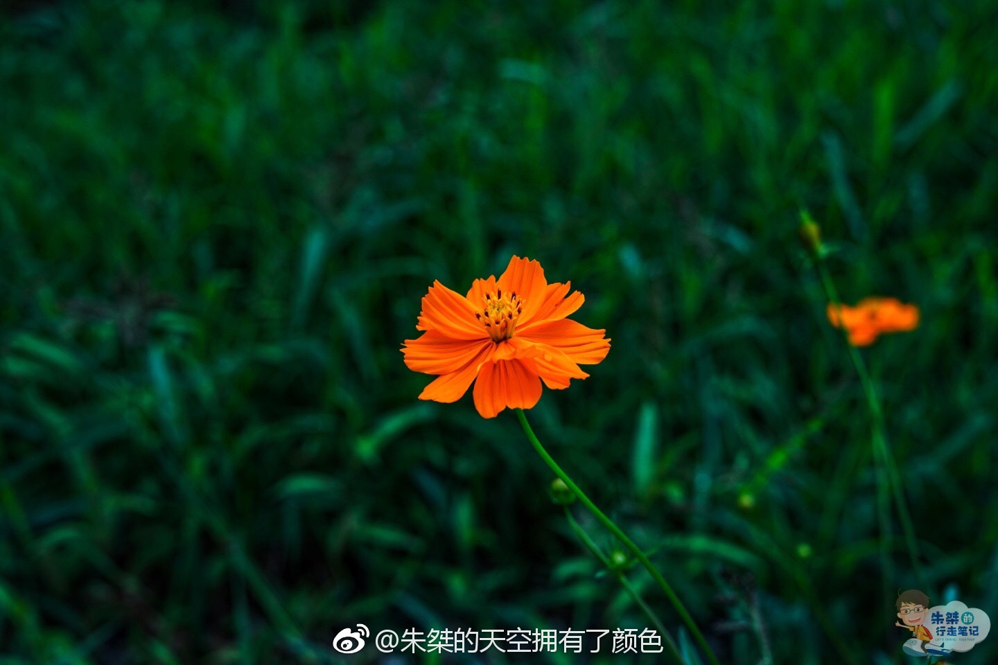 五色谷位于宣城市广德县境内,处于石龙山和狮