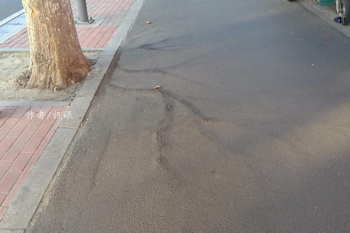 树根的破坏力到底有多强?看到这个涨知识了|树根|岩石|大树|根部|缝隙_新浪新闻