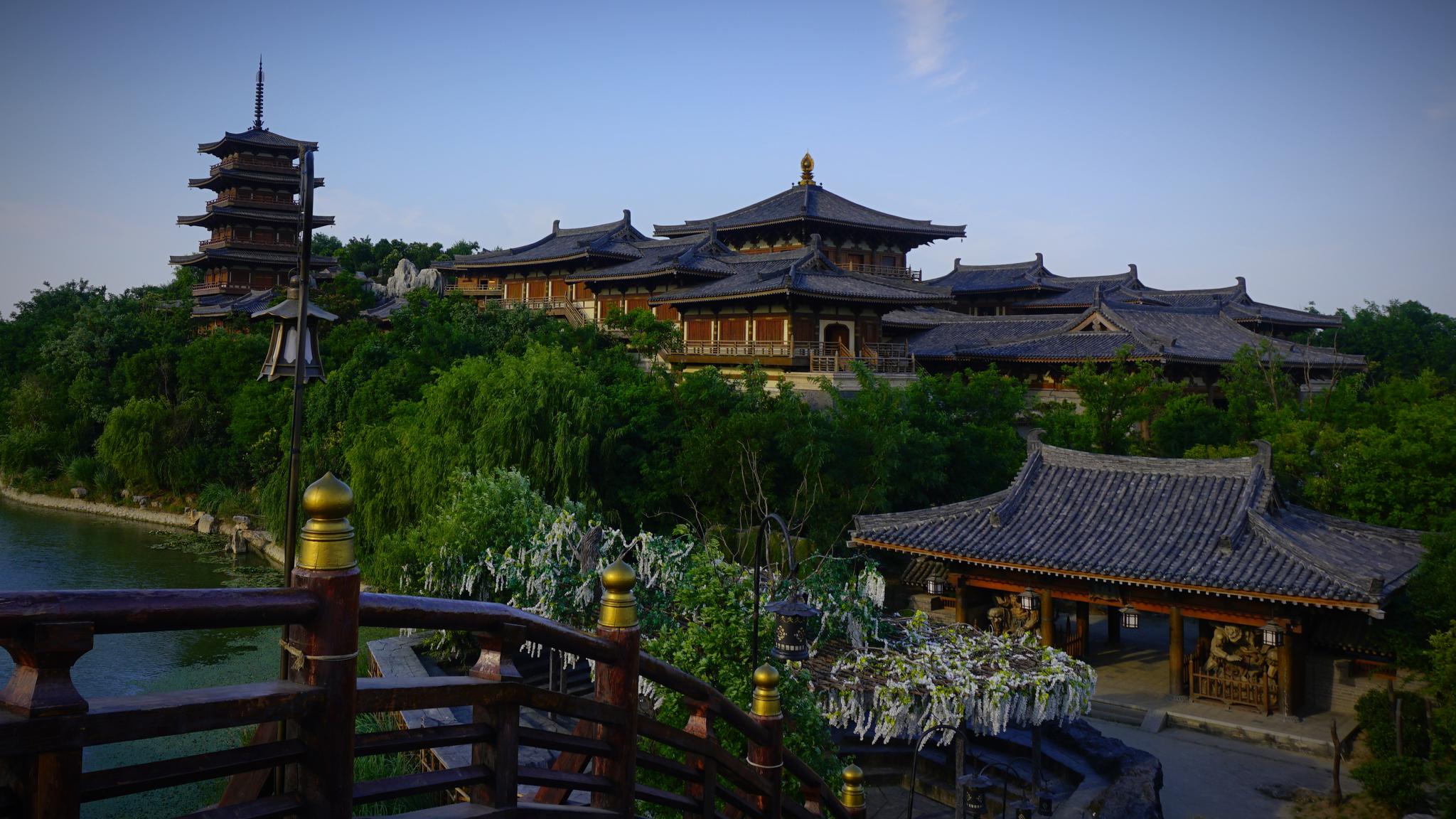 六月长安城开满了合欢花