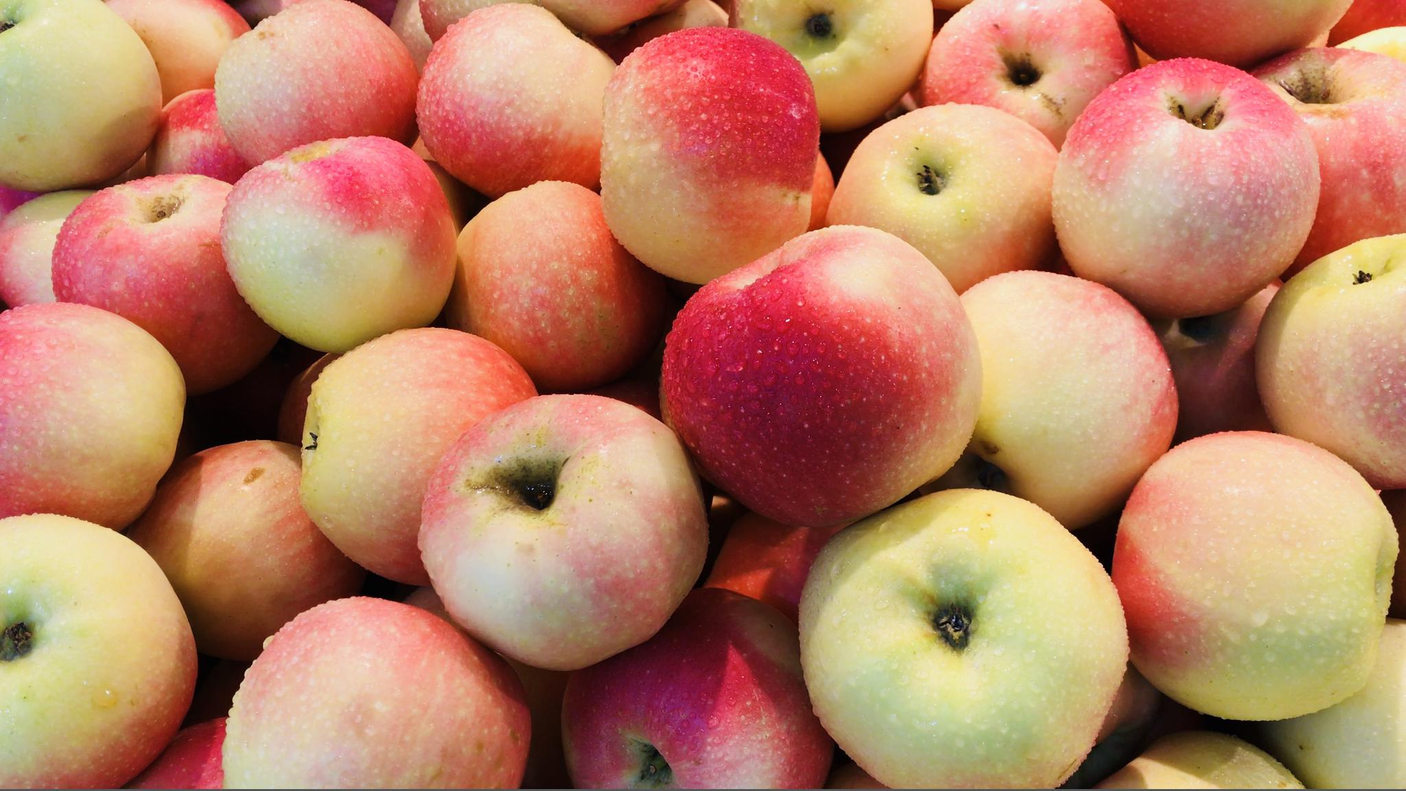 今天去超市转转,时令水果太诱人.