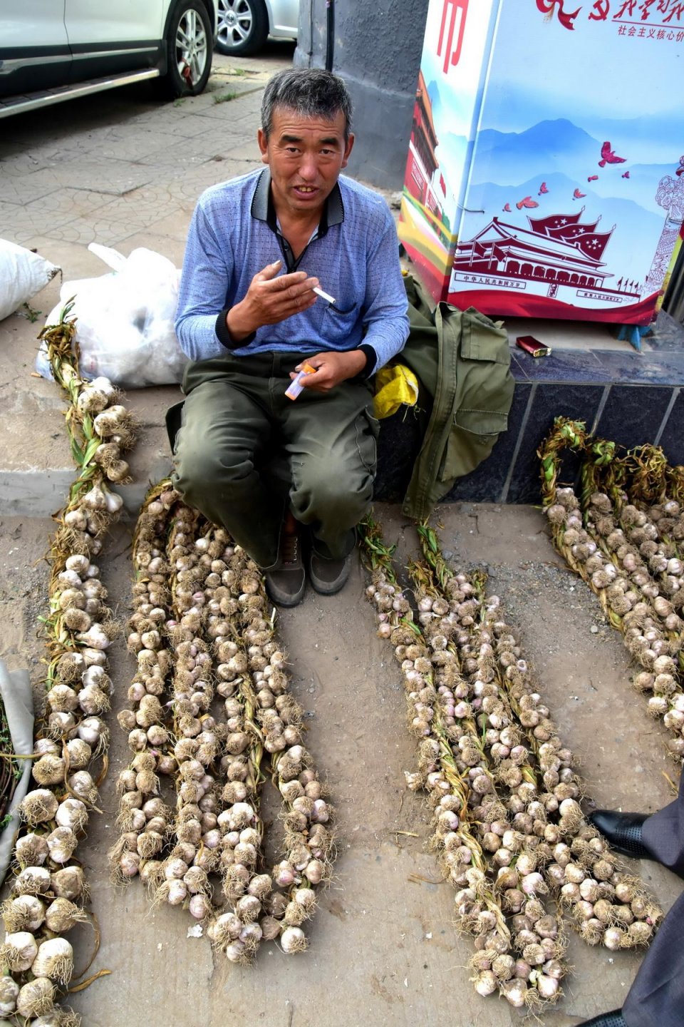 农民眼泪流干也要坚持到底种大蒜去年赔今年赔不相信明年还赔