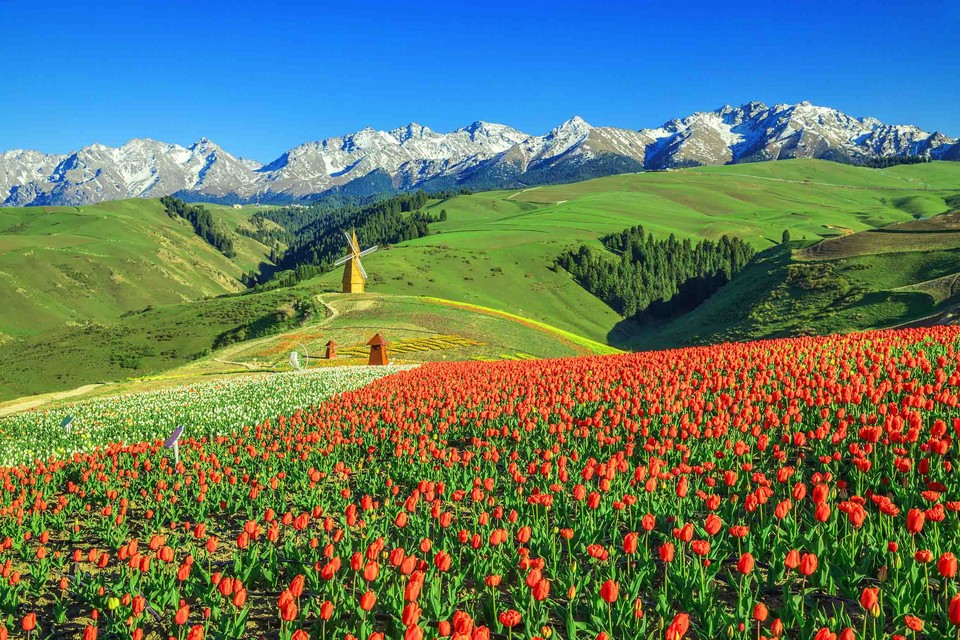 江布拉克景区,位于新疆维吾尔自治区昌吉市奇台县半截沟镇南部山.