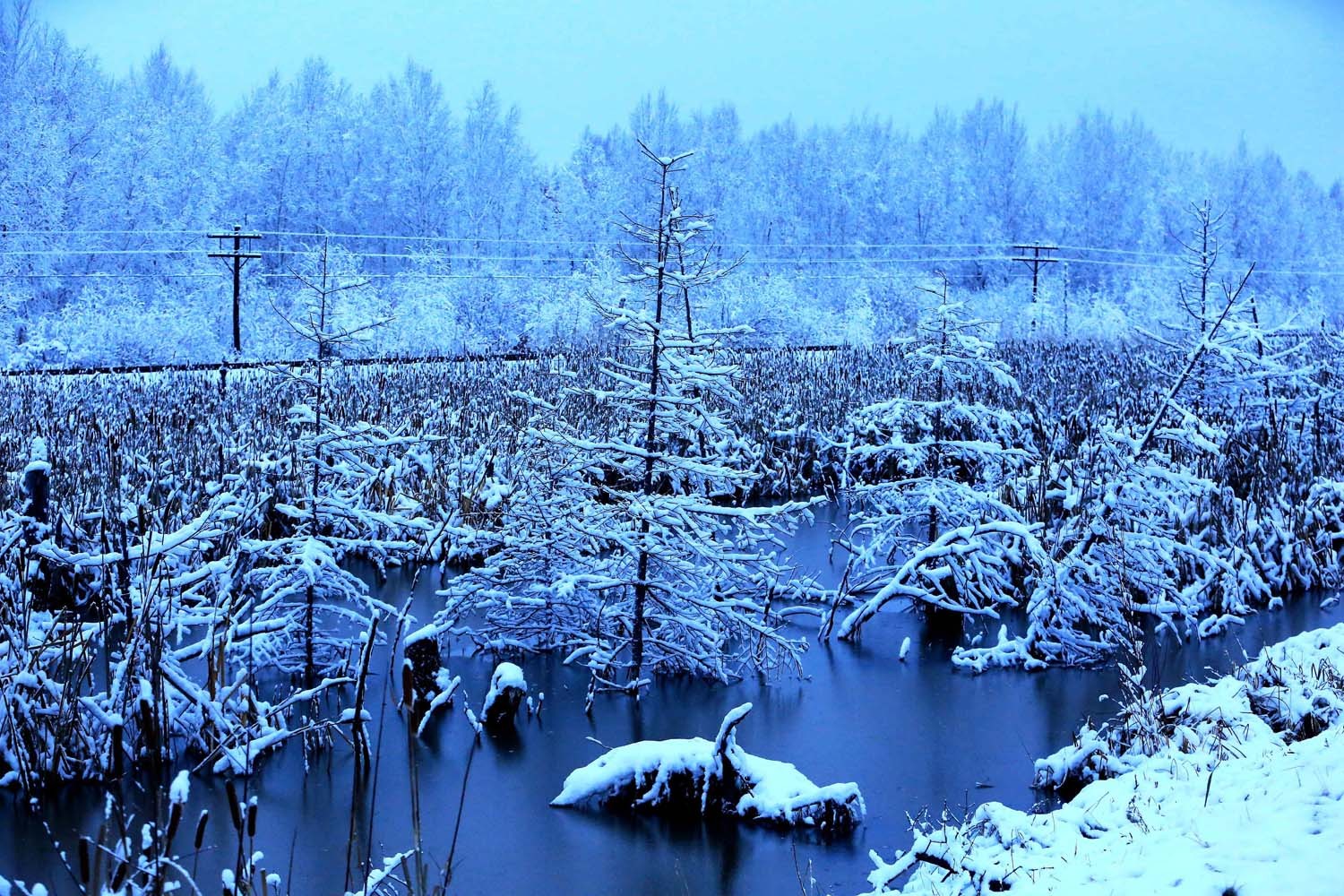 东北林区现百余公里"最美乡村公路",美不胜收,宛如人间天堂