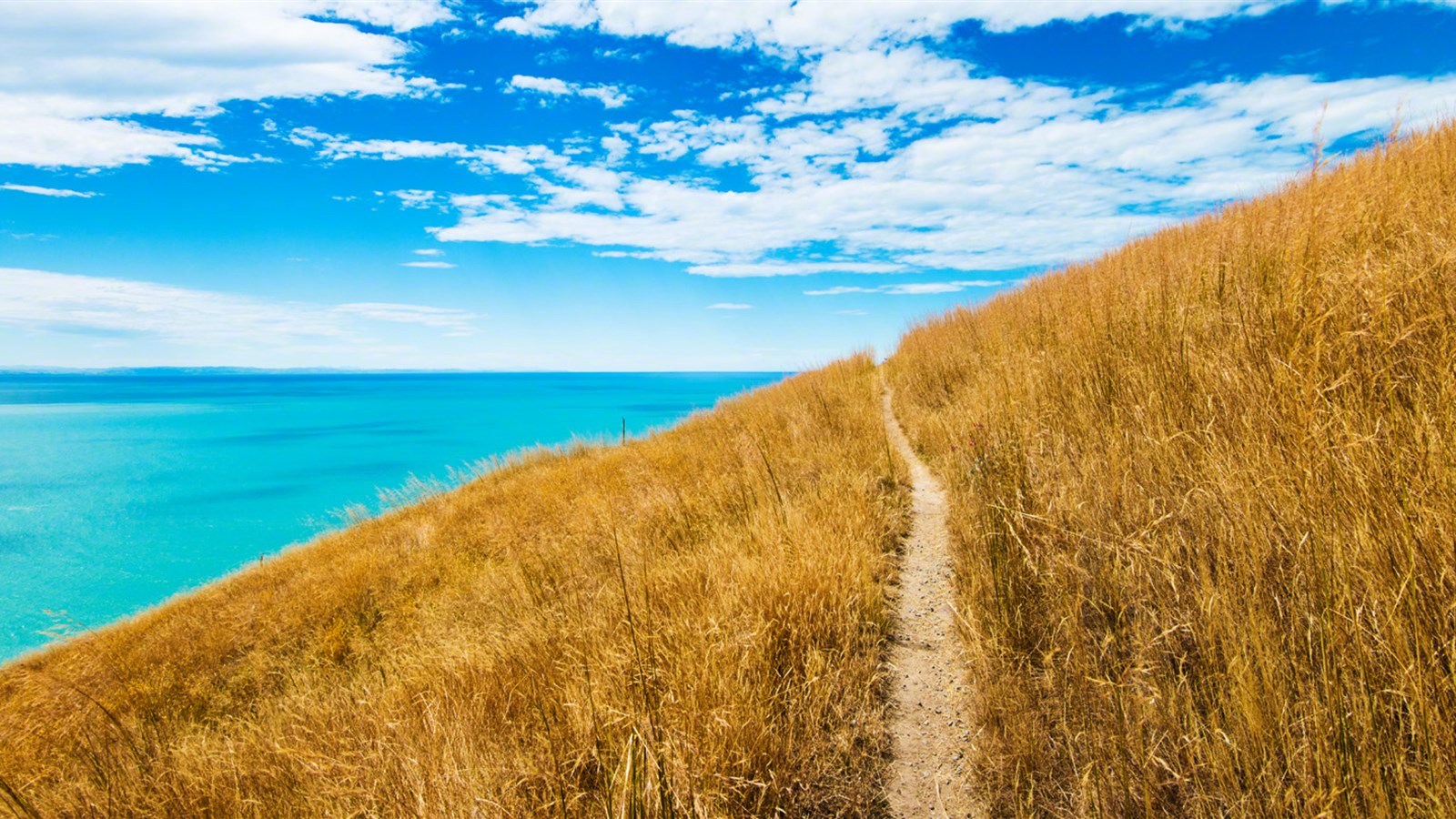 生活如舟,摇摆不定;生活如水,平淡最美;生活如麻
