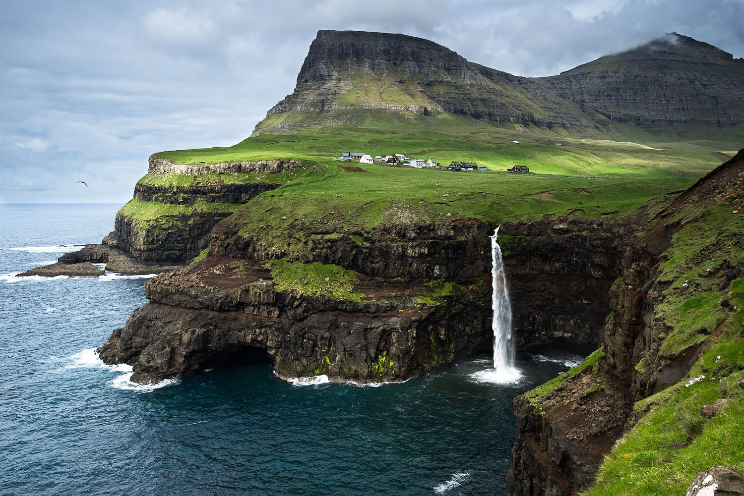 丹麦法罗群岛捕鲸节争议 传统捕鲸为何无人叫停