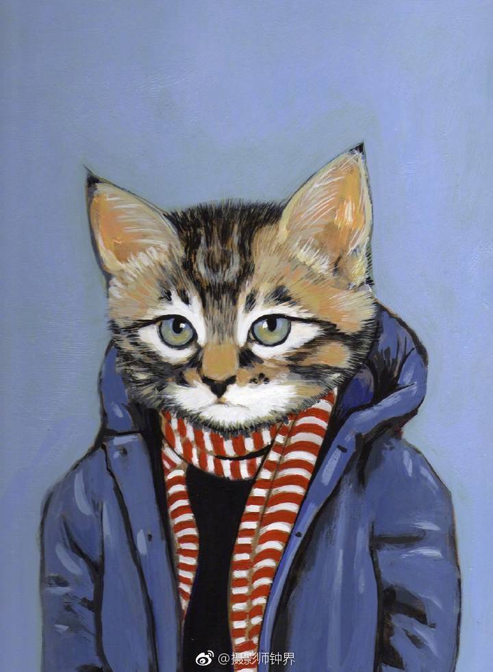 八个猫先生一个猫女生