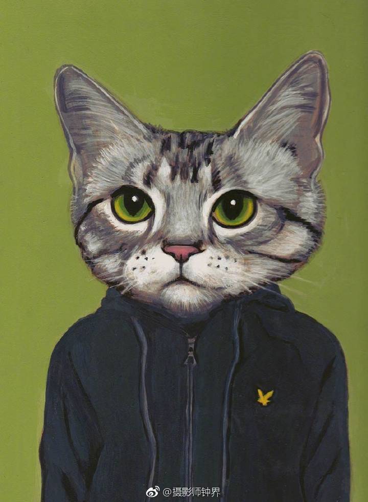 八个猫先生一个猫女生