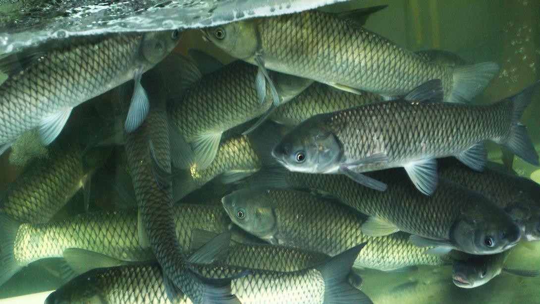 通过看漂相就能知道中的什么鱼这个牛技能钓鱼人必须解锁啊