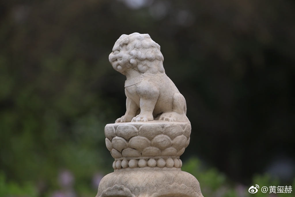 断虹桥的元代石狮