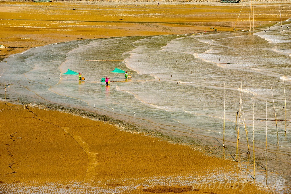 福建霞浦,小皓,滩涂风光