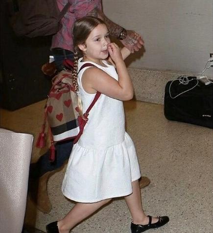 小七的同学家里有困难,哈珀回家自制募捐箱,女儿举动让大卫自豪