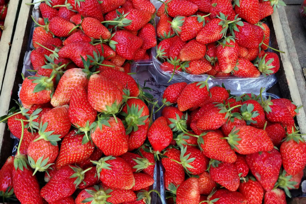 杏花飘落一月半 黄杏酸甜上市来 草莓下市价反高 樱桃价降接近半