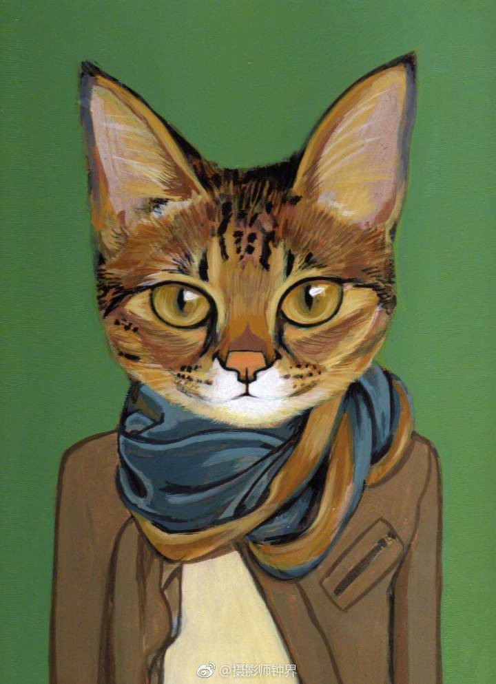八个猫先生一个猫女生