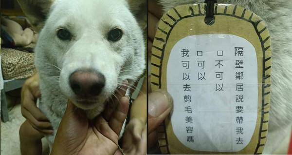 邻居家串门子,里长汪回来多一条2选1吊牌,网笑勾左边!