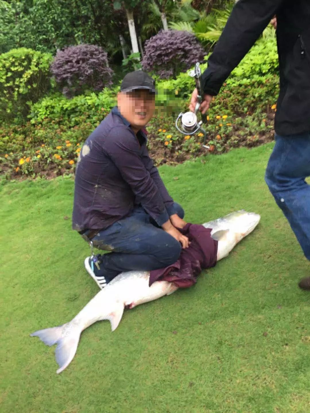 好狠!近60斤野生大鱼惨死万州长江边!还有令人更气愤的