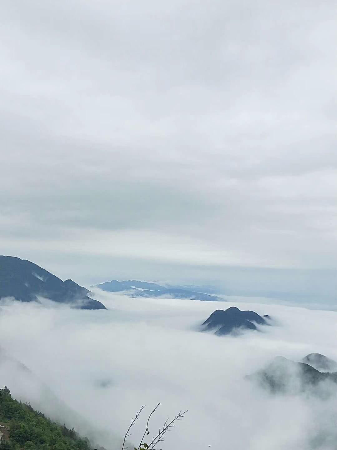 巫山一山谷现云海奇观 画面美不胜收