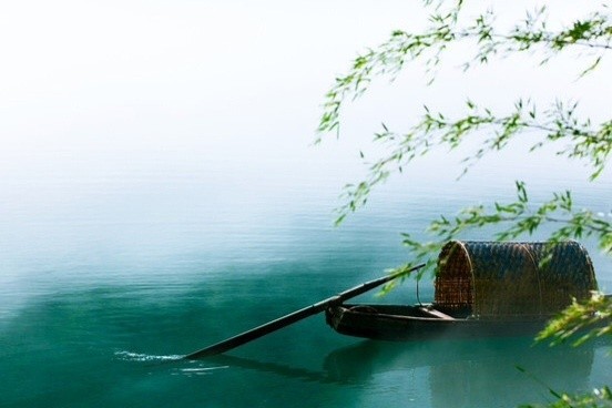 昨夜扁舟雨一蓑,满江风浪夜如何