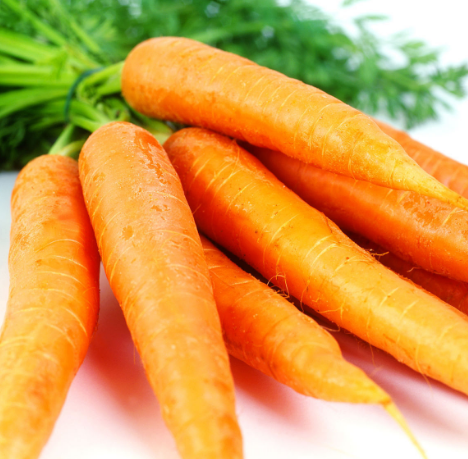 胡萝卜丝|生菜|西红柿_新浪网