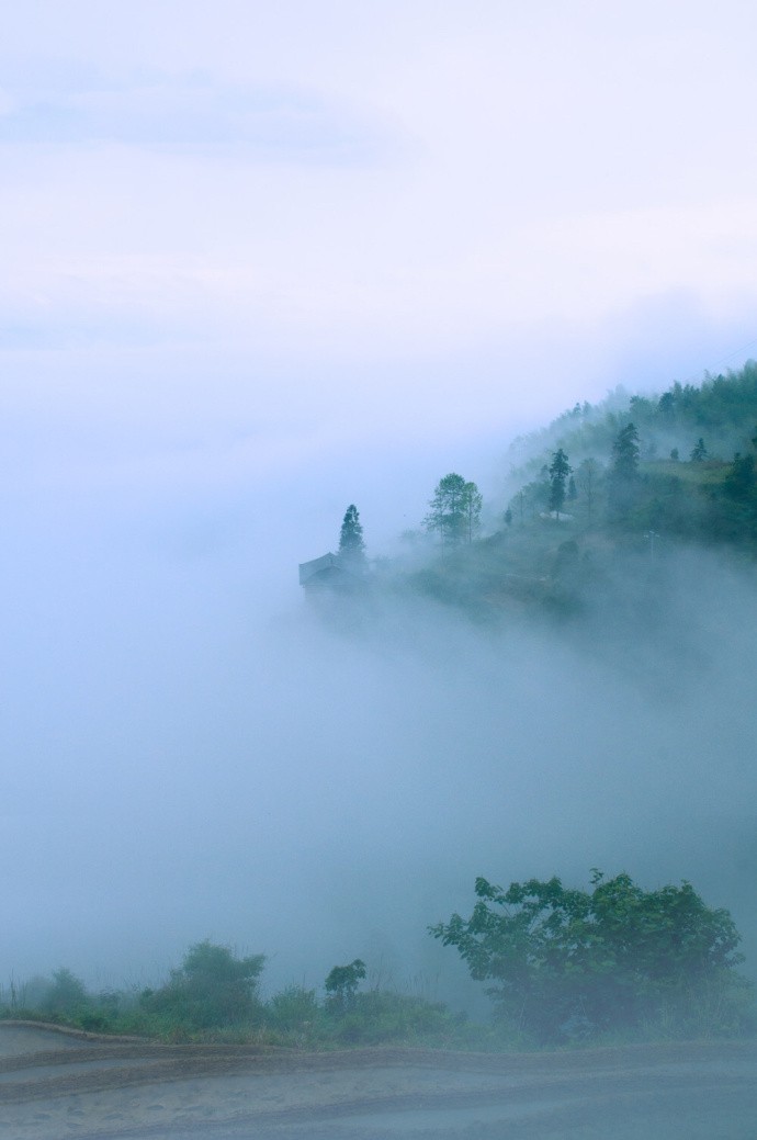 春来仙景何处有,雾海深处梯田下