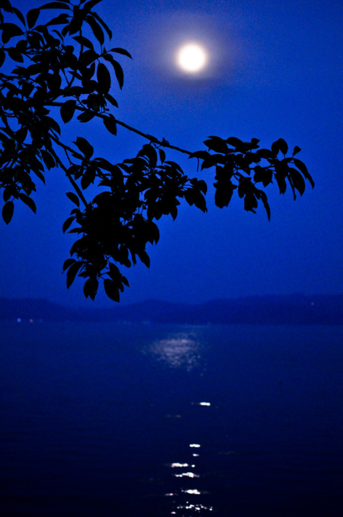 上句:秋夜凉风起,请接下句.无特殊要求顺口即可