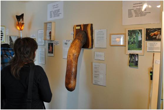 你们一定没有见过这种博物馆,在遥远的冰岛,堪称丁丁的天堂!