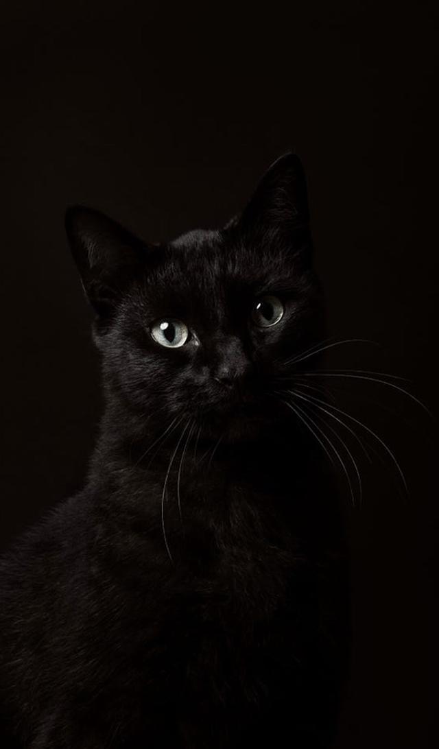 每日壁纸 | 黑色禁欲系系列壁纸