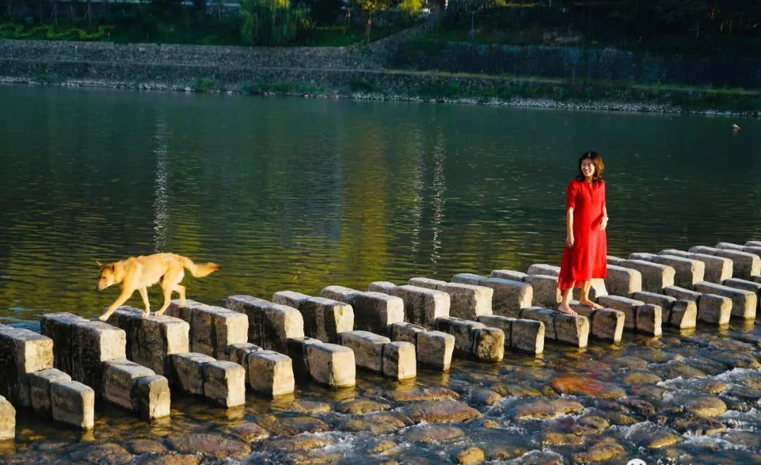 泰顺最浪漫的地方,世界最长碇步:仕阳琴桥