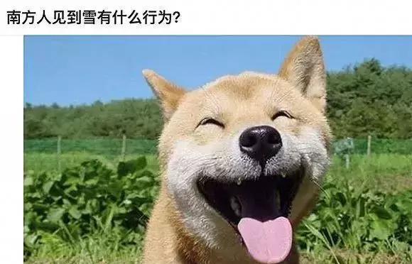 有一种爆笑叫当南方人看到了雪
