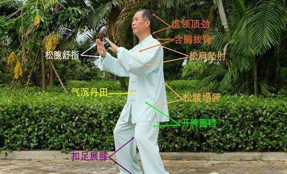 太极拳的虚领顶劲是怎么练出来的?