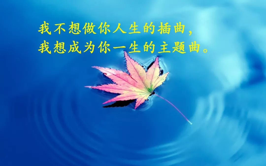 经典的人生句子有哪些英文(经典的人生句子有哪些英文翻译)