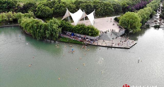自入夏以来,安徽合肥高温连连,天鹅湖成了市民纳凉的好去处,几乎每天