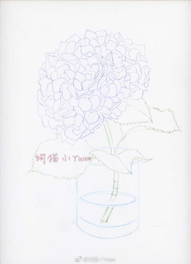 剪一支无尽夏插在花瓶中无尽夏的水彩过程67投稿饲猫小yuan