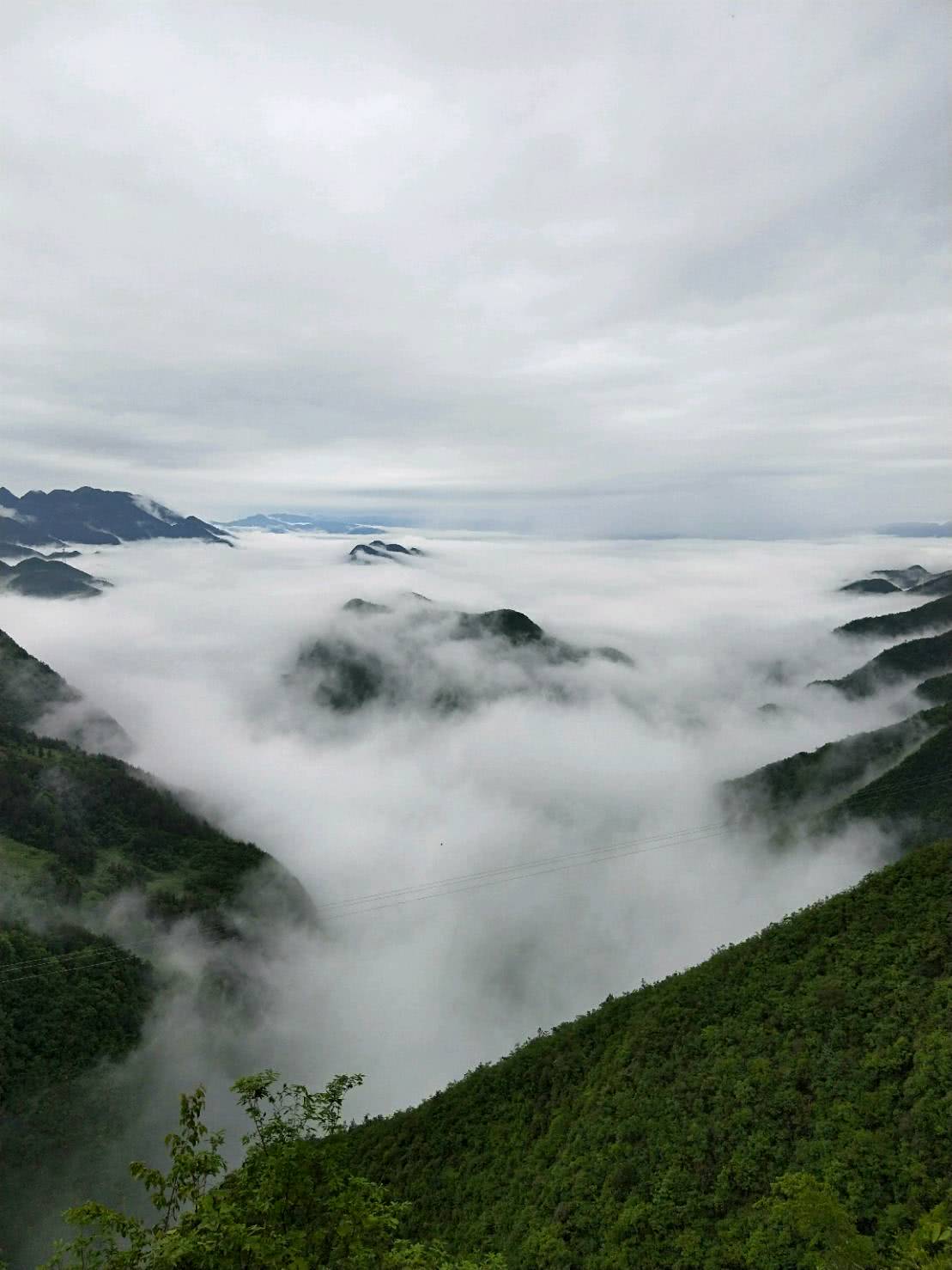 巫山一山谷现云海奇观 画面美不胜收
