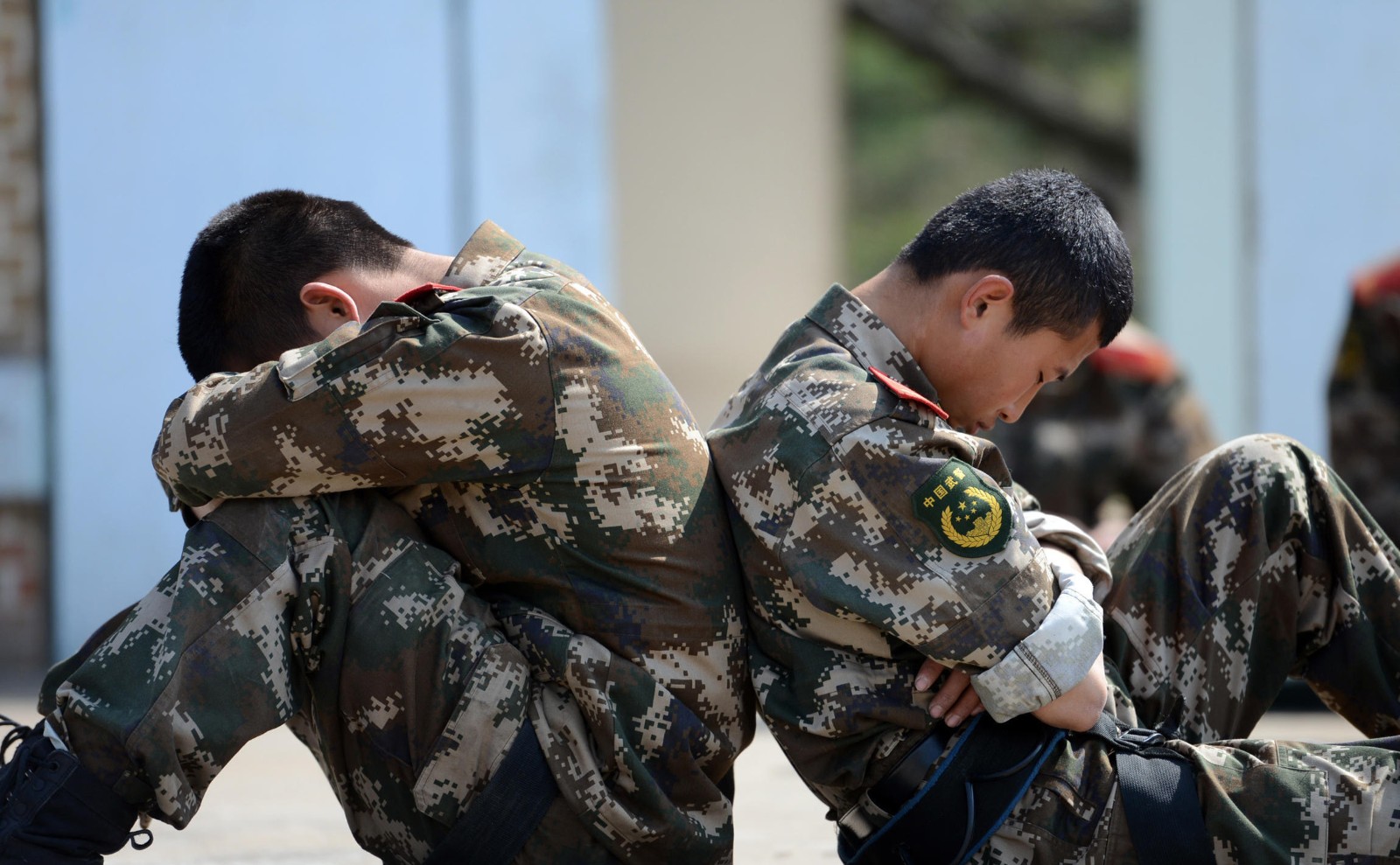 泪奔15张照片的背后故事兵犬离别让人瞬间感动