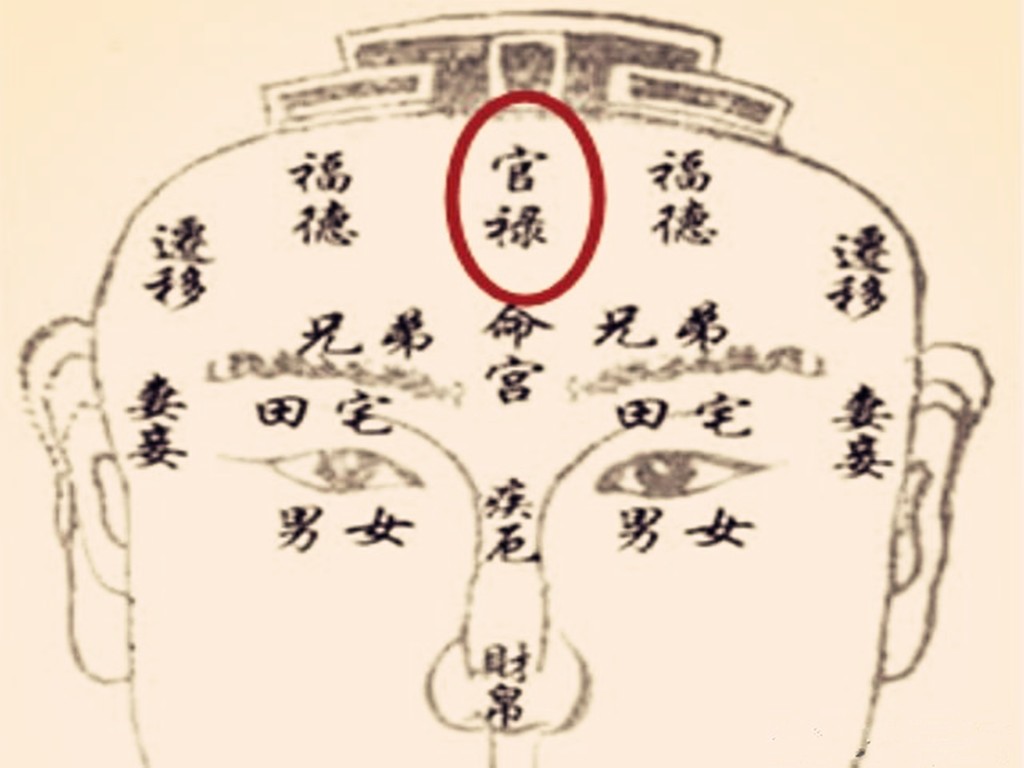 面相十二宫:官禄宫解释|官禄宫|十二宫|面相_新浪新闻
