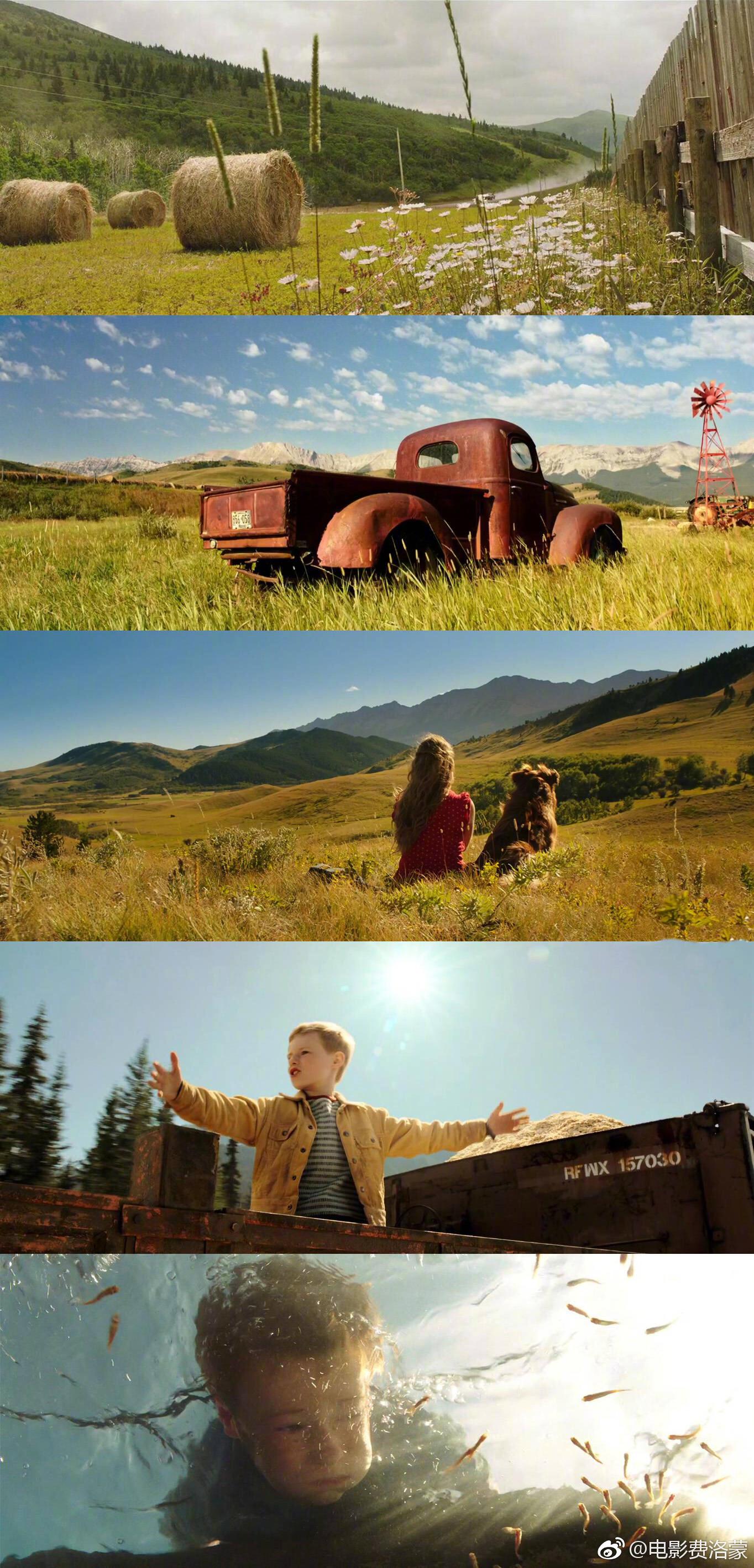 9部风景优美的高分治愈电影