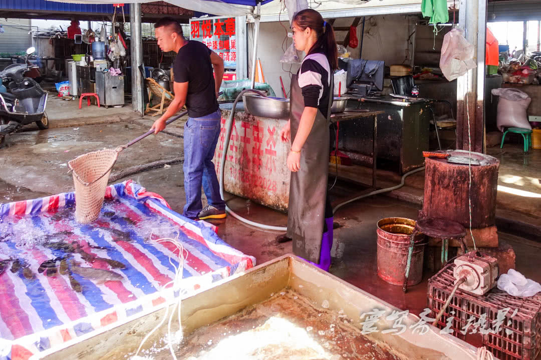 在大理宾居的农贸市场买鱼,被美女老板手上的一个"神器"惊到了