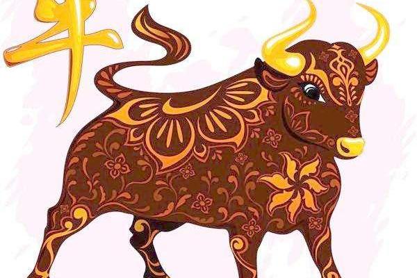 齐静春有几个本命字