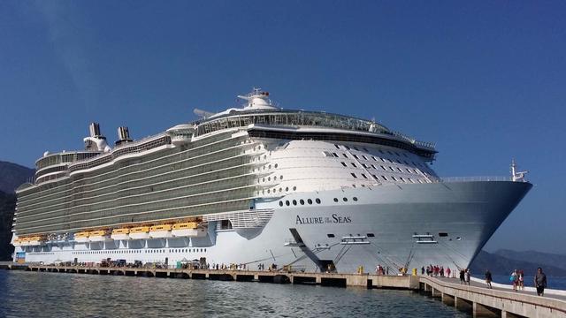 全球最大的豪华游轮排行榜top10