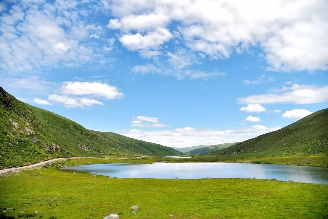 莲宝叶则天气2345_(莲宝叶则天气穿什么衣服)