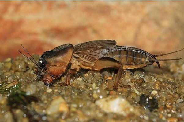 说出来你都不敢信