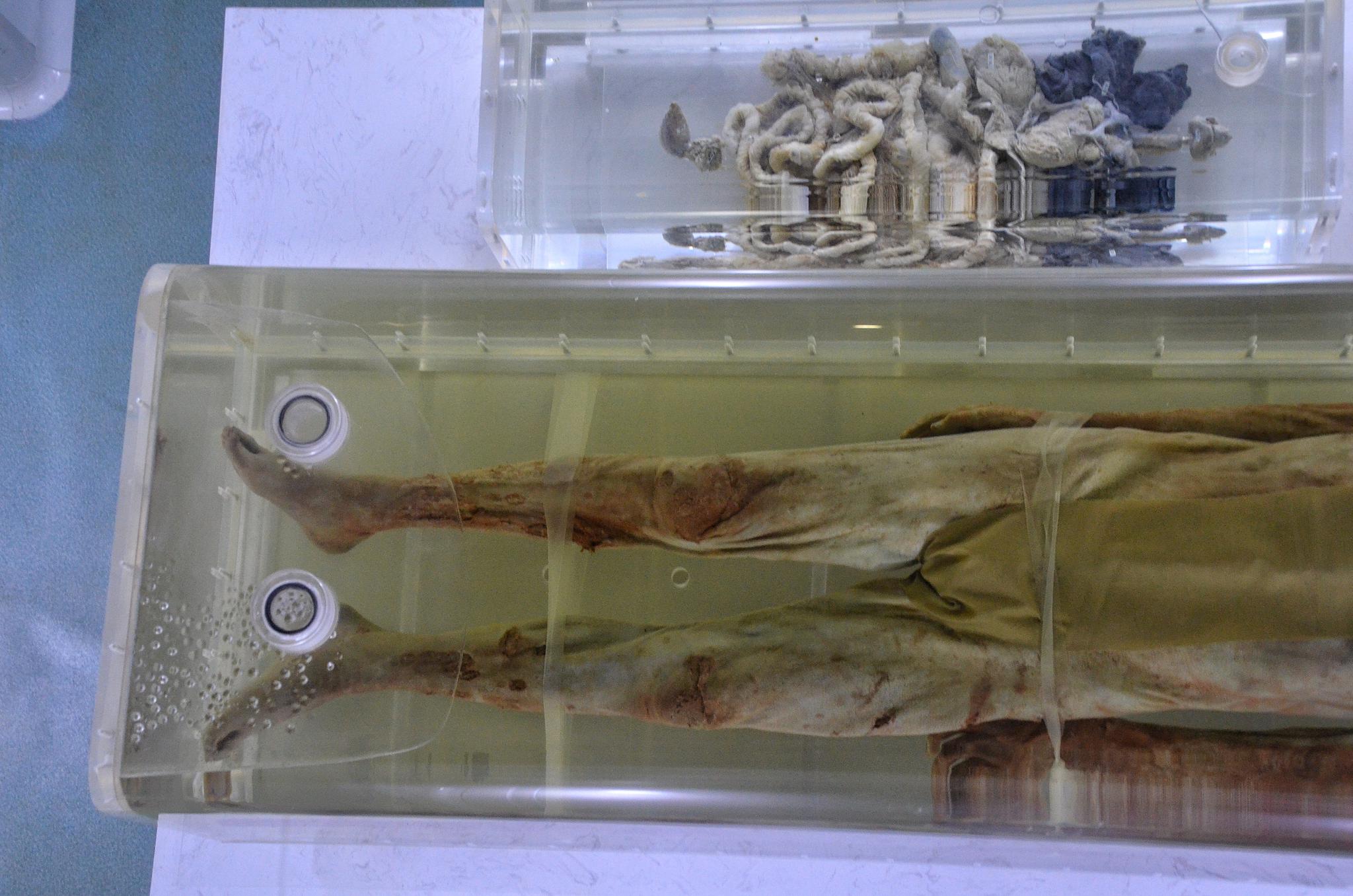 荆州博物馆藏凤凰山168号汉墓男尸