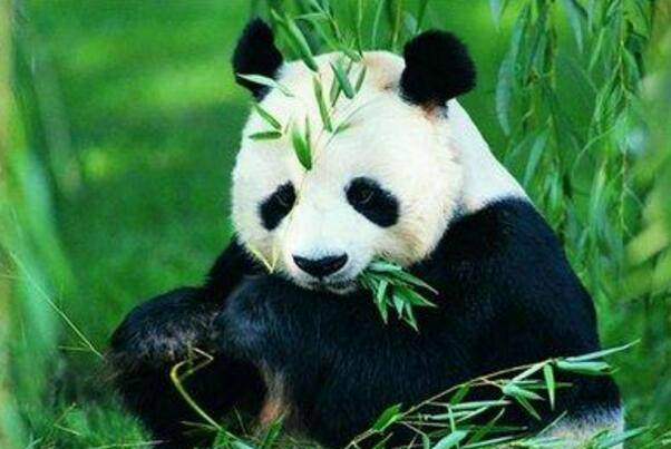 滨州奥迪4s店电话号码